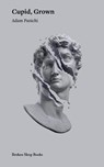 Grown Cupid - Adam Panichi - 9781917617017