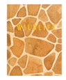 Wildlife - Reed New Holland Publishers - 9781921073557