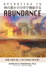 Operating in Abundance (Japanese Edition) - Adonijah O Ogbonnaya Ph D - 9781922428813