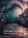 A Strange Goodness? - Stephen Ames - 9781923006645