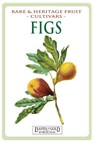Figs - C Thornton - 9781925110128