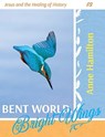 Bent World, Bright Wings - Anne Hamilton - 9781925380231