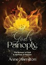 God's Panoply - Anne Hamilton - 9781925380903