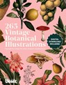 Vintage Botanical Illustration - Kale James - 9781925968040