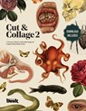 Cut and Collage A Treasury of Bizarre and Beautiful Images for Collage and Mixed Media Artists Volume.2 - Kale James - 9781925968378
