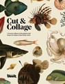 Cut and Collage - Kale James - 9781925968774