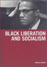 Black Liberation And Socialism - Ahmed Shawki - 9781931859264
