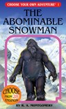The Abominable Snowman - R. a. Montgomery - 9781933390017
