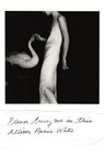 Please Bury Me in This - Allison Benis White - 9781935536833