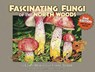 Fascinating Fungi of the North Woods, 2nd Edition - Cora Mollen - 9781936571031