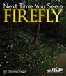 Next Time You See a Firefly - Emily Morgan - 9781936959181