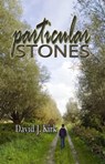 Particular Stones - David J. Kirk - 9781937273323