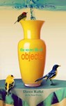 The Secret Life of Objects - Sean Evers - 9781937543037