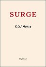 Surge - Etel Adnan - 9781937658854