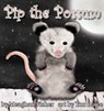 Pip the Possum - Meaghan Fisher - 9781938768675