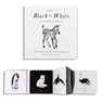 Baby's Black and White Contrast Book - Tabitha Paige - 9781941325971