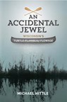 An Accidental Jewel: Wisconsin's Turtle-Flambeau Flowage - Michael Hittle - 9781942586319