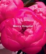 Ida Applebroog: Mercy Hospital - Ida Applebroog - 9781942607595