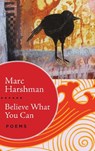 Believe What You Can - Marc Harshman - 9781943665228