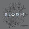 Bloom - Alli Koch - 9781944515898