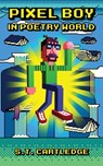 Pixel Boy in Poetry World - S T Cartledge - 9781944866389