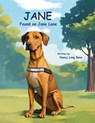 Jane Found on Jane Lane - Nancy Elizabeth Benz - 9781945423659