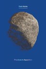 Practices in Apparition - Gabi Abro - 9781945649608