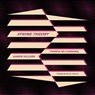 STRING THEORY / TEORÍA DE CUERDAS - Karen Villeda - 9781945720345