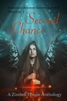 Second Chance - Zimbell House Publishing ; Dr. Oliver Brady ; Aaron N. Brown ; Heather Harrison ; Jack E. Mohr ; Janice Rudestam ; Luis Manuel Torres - 9781945967979