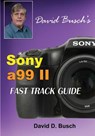 DAVID BUSCH'S Sony Alpha a99 II FAST TRACK GUIDE - David Busch - 9781946488046
