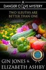 Two Sleuths are Better Than One - Elizabeth Ashby ; Gin Jones - 9781947110854