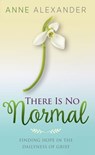 There Is No Normal: Finding Hope in the Dailyness of Grief - Anne Alexander - 9781947671959