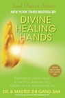 Divine Healing Hands: Experience Divine Power to Heal You, Animals, and Nature, and to Transform All Life - Zhi Gang Sha - 9781949003611