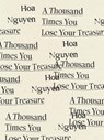 A Thousand Times You Lose Your Treasure - Hoa Nguyen - 9781950268177