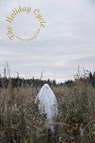 The Holiday Cycle - Joseph Mills - 9781950413935