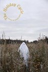 The Holiday Cycle - Joseph Mills - 9781950413935