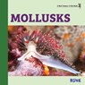 Mollusks - Rebecca Woodbury - 9781950415595