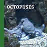 Octopuses - Rebecca Woodbury - 9781950415601