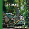 Reptiles - Rebecca Woodbury M. Ed - 9781950415670