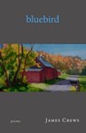 Bluebird - James Crews - 9781950584550