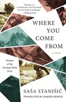 WHERE YOU COME FROM - Sasa Stanisic - 9781951142759