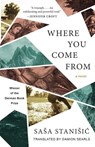 WHERE YOU COME FROM - Sasa Stanisic - 9781951142759