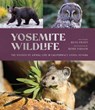 Yosemite Wildlife - Beth Pratt - 9781951179267