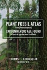 Plant Fossil Atlas From (Pennsylvanian) Carboniferous Age Found in Central Appalachian Coalfields - Thomas F McLoughlin - 9781953616210