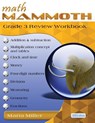 Math Mammoth Grade 3 Review Workbook - Maria Miller - 9781954379275