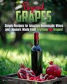 Beyond Grapes - Yacov Morad - 9781956769753