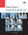 Endodontics - Arnaldo Castellucci, MD - 9781957260068