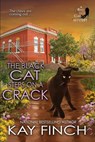 The Black Cat Steps on a Crack - Kay Finch - 9781958384589