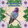 The Wonderful World of Hummingbirds: Interesting facts About Hummingbirds - Mimi Jones - 9781958985144