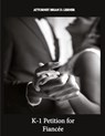 K-1 Petition for Fiancée - Brian D. Lerner - 9781958990469